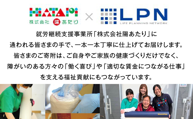 【LPN社製】ストレッチポールEX アイボリー 2本セット【正規品 セルフケア ストレッチ エクササイズ 腰痛 肩こり 体幹 コアトレ】 100F077