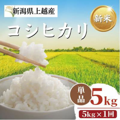 ふるさと納税 上越市 【令和8年10月以降配送】令和8年産新潟県上越市産コシヒカリ5kg 新米先行予約