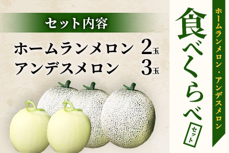 【2024年5月上旬発送開始】【先行予約】熊本県産 ホームランメロン アンデスメロン 食べ比べ 計5玉 約5kg 令和6年 先行 御予約 予約 ご予約 熊本 くまもと アンデス ホームラン メロン め