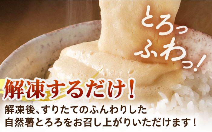 【味付け不要！本格自然薯とろろ】自然薯 とろろ （醤油味）55g×8個＜自然薯王国＞那珂川市 [GAH001]