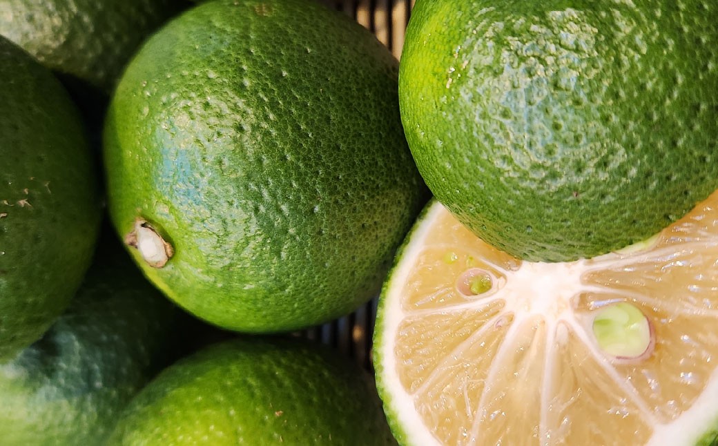 ノンアルコール 酔わないかぼすハイボール 340ml×48本（2ケース） JAフーズおおいた