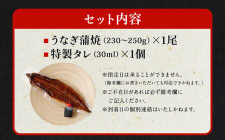 国産うなぎ蒲焼 1尾（230〜250g）と特製タレ1個セット 【2025年10月発送】｜ 鰻 ウナギ 蒲焼 うなぎ蒲焼 タレ付 大阪府 阪南市