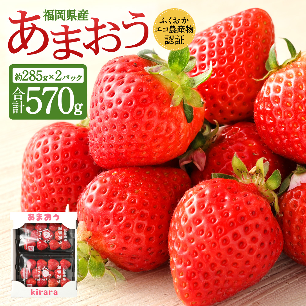 あまおう 約570g 約285g×2パック いちごファームきらら【ふくおかエコ農産物認証】【2026年2月上旬-3月下旬発送予定】