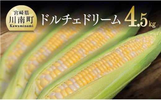 【令和7年発送】宮崎県産とうもろこし　大山さんちのスイートコーン「ドルチェドリーム」4.5kg 【 先行予約 数量限定 期間限定 2025年発送 先行受付 宮崎県産 九州産 】[D07101]