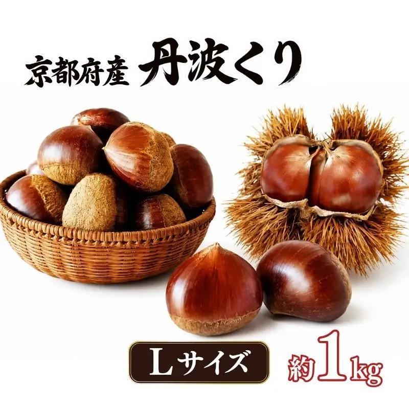 丹波くり 約1kg Lサイズ 栗 京都