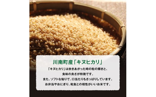 【3ヶ月定期便】令和7年産　黒木農園のお米「キヌヒカリ(玄米)」10kg 【 米 お米 玄米 国産 宮崎県産 きぬひかり おにぎり 】[D03222t3]