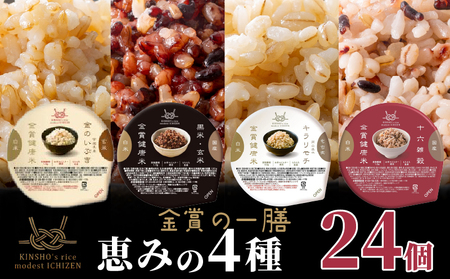【 ご飯パック 】 金賞 健康米 食べ比べ 恵みの4種セット 120g×24個入り