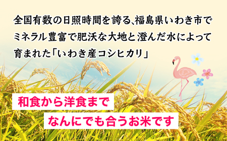 いわきコシヒカリ5kg コシヒカリ