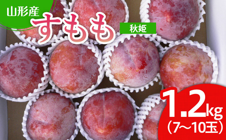 
山形市産 すもも(秋姫) 1.2kg(7～10玉） 【令和6年産先行予約】FU22-026 フルーツ くだもの 果物 山形 山形県 山形市 2024年産
