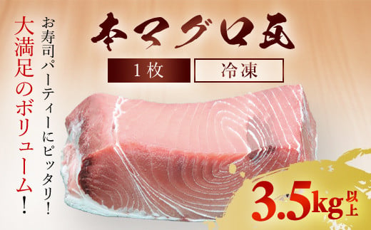 
本マグロ 瓦1枚　3.5kg以上 ふるさと納税 マグロ 本マグロ 魚 刺身 冷凍 天然 千葉県 茂原市 MBT005
