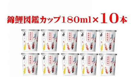 r05-010-091長者盛 錦鯉図鑑カップ180ml×10本