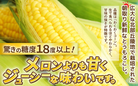【先行予約】朝取れ とうもろこし 10本 (1本：2Lサイズ以上 370g～450g) ～驚きの糖度18度以上！～ (わくわくコーン) 【2026年6月上旬以降順次発送】  [A-7102] とうもろ