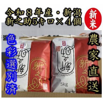 ふるさと納税 阿賀野市 【令和8年産新米】 新潟県産「新之助」 白米 20kg(5kg×4袋)