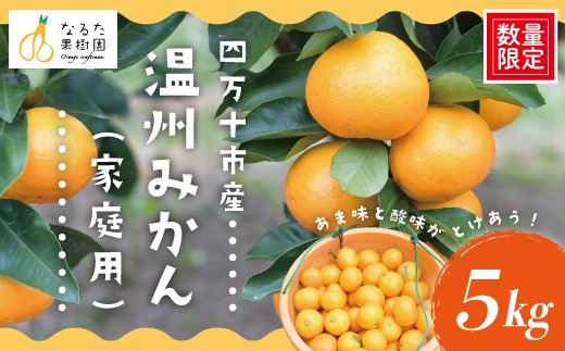 【 早期受付 期間限定 数量限定 】 温州みかん 5kg 家庭用 人気 フルーツ 果物 みかん ミカン 蜜柑 ジューシー 果汁 甘い 酸味 限定品 高知県 高知 四万十市 四万十 しまんと お取り寄せ 【配送時期：2025年10月～11月末】25-967