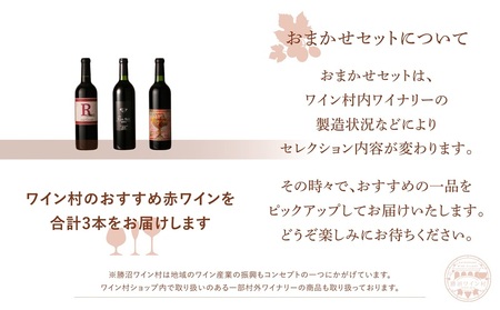 ワイン村 おまかせワイン（赤）3本セット（KWV）D4-620 【ワイン 勝沼ワイン村 赤ワイン 甲州市 山梨県 】