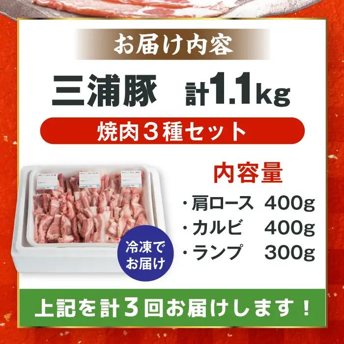 【3回定期便】 豪華 三浦豚 1.1kg 焼肉セット 肩ロース カルビ ランプ / 恵那市 / あづま精肉店 [AUDL018]