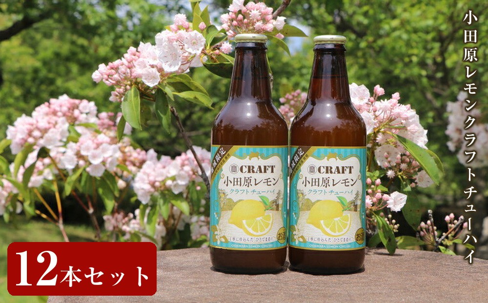 
小田原レモンクラフトチューハイ　12本セット
