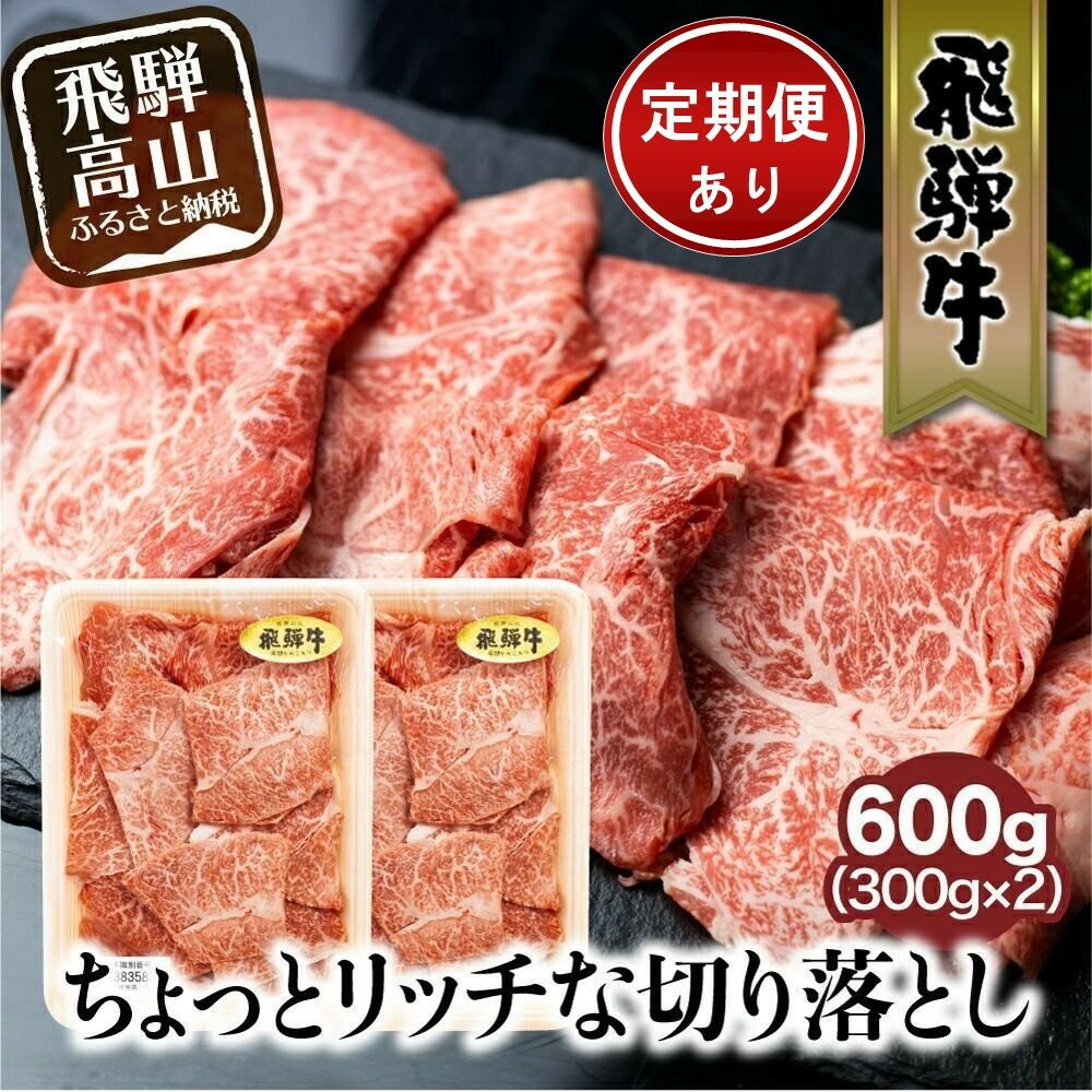 飛騨牛 切り落とし 300g×2パックセット みすじ ウデ すき焼き しゃぶしゃぶ 希少部位 600g 和牛 国産牛 ブランド牛 冷凍 飛騨高山 飛騨牛のこもり