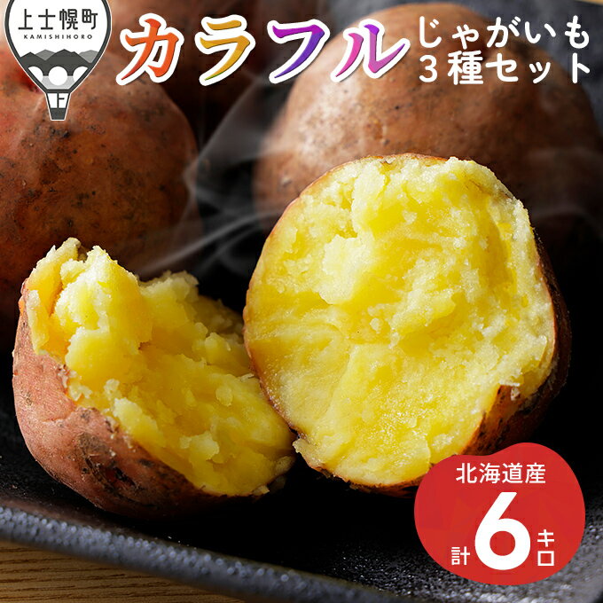 【ふるさと納税】北海道産カラフルじゃがいも3種セット 計6kg 上士幌町加藤農場 詰め合わせ レビューキャンペーン対象品 ◆2025年12月配送予定 ※オンライン申請対応
