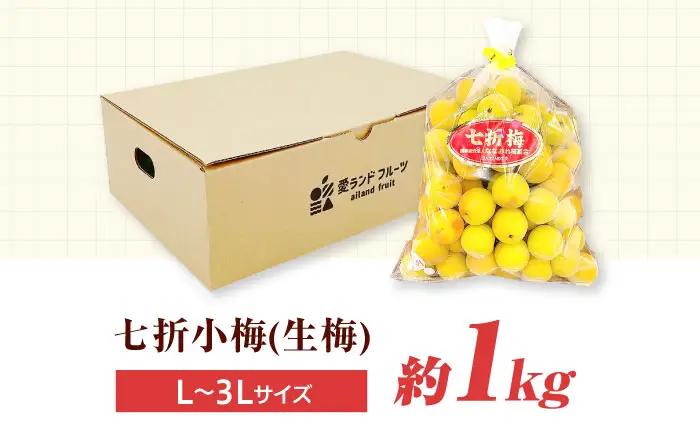 梅 七折小梅 生梅  約1kg 梅干 BJBI013