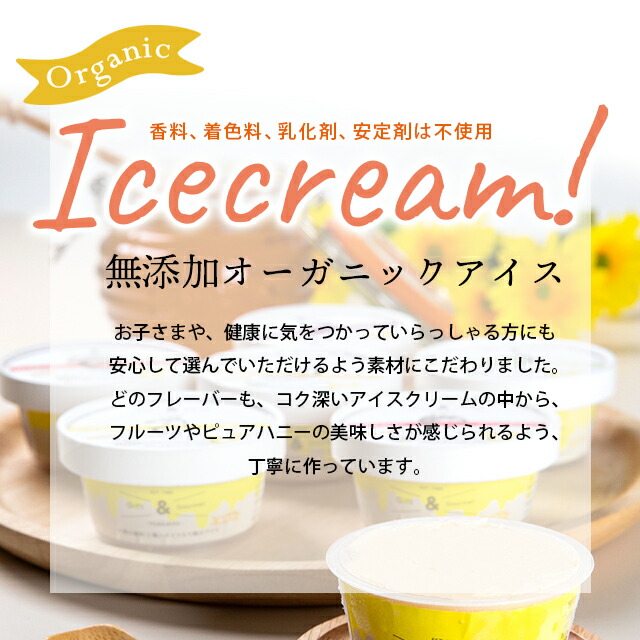 130068001 北海道産フルーツの無添加アイス 9個セット