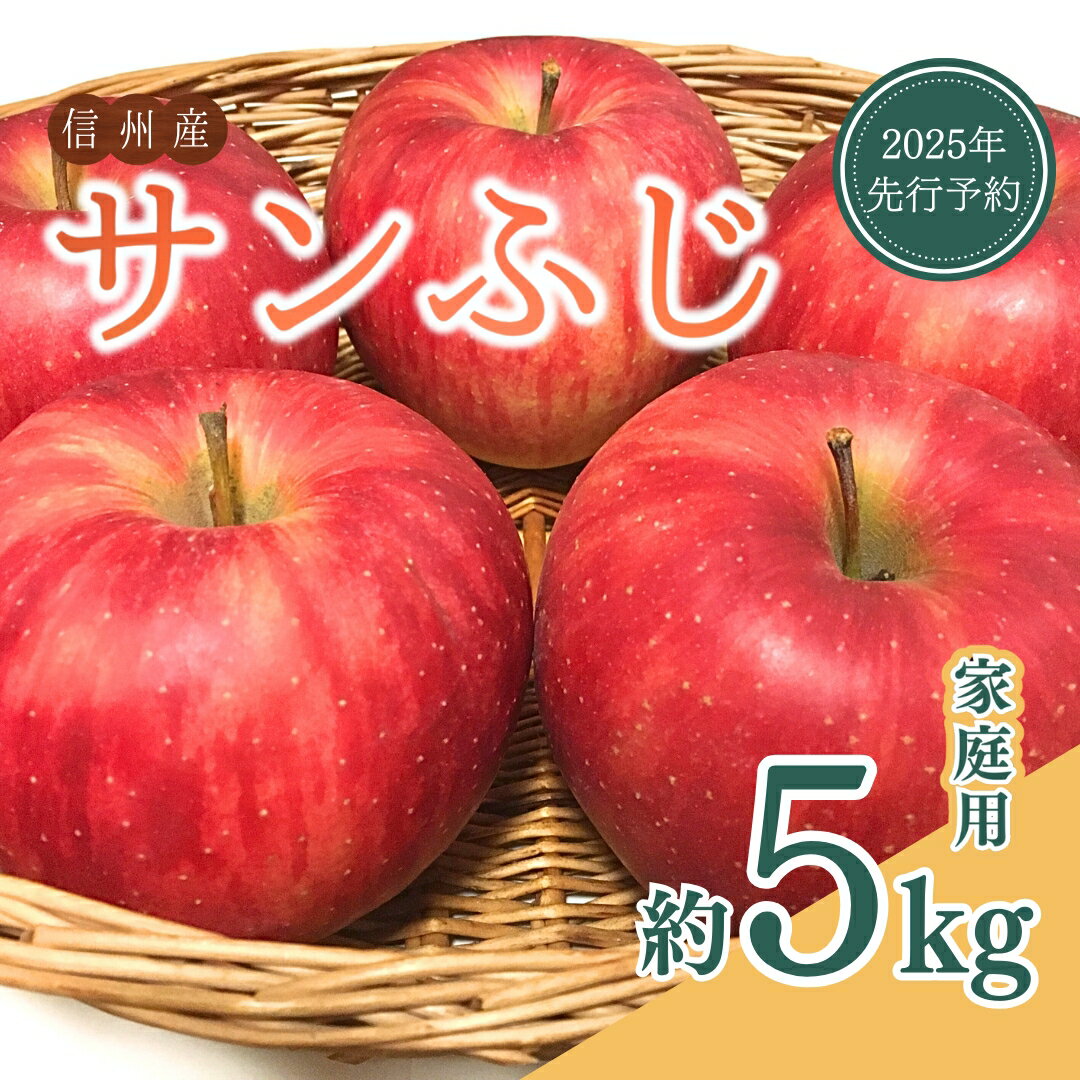 【ふるさと納税】 【2025年先行予約】 ザ・王道 りんご サンふじ 家庭用 約5kg 訳あり 銀杏ファーム平林 リンゴ 林檎 信州りんご 信州産 長野県産りんご 千曲市 長野県
