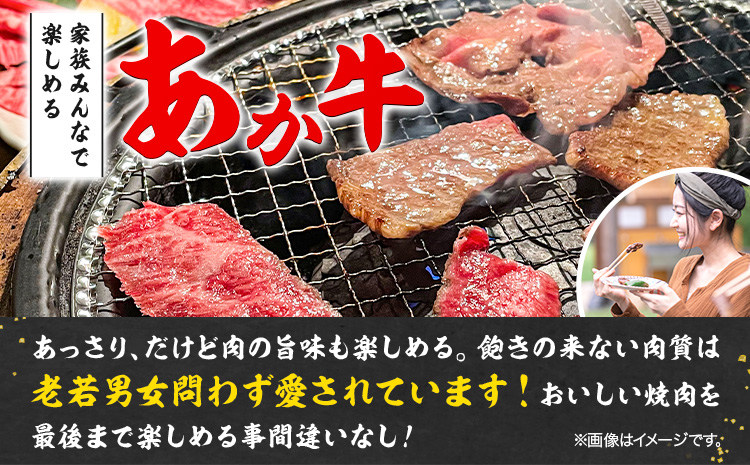 【3ヶ月定期便】あか牛 焼肉用カット 500g×3回 計1.5kg 五右衛門フーズ 《お申込み翌月から出荷》 熊本県 菊池市 牛肉 肉 国産 熊本県産 ブランド牛 絶品 贅沢 高級 焼肉