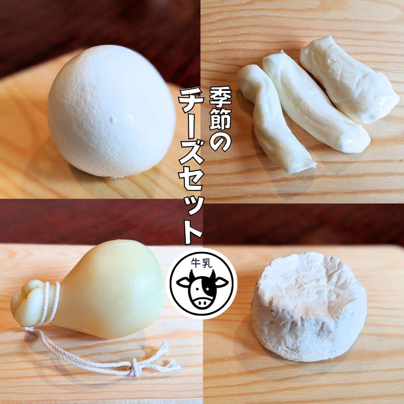 【ふるさと納税】【11月〜3月限定・牛乳】季節のチーズ4種セット モッツアレラチーズ カチョカバロ ストリングチーズ カマンベールチーズ