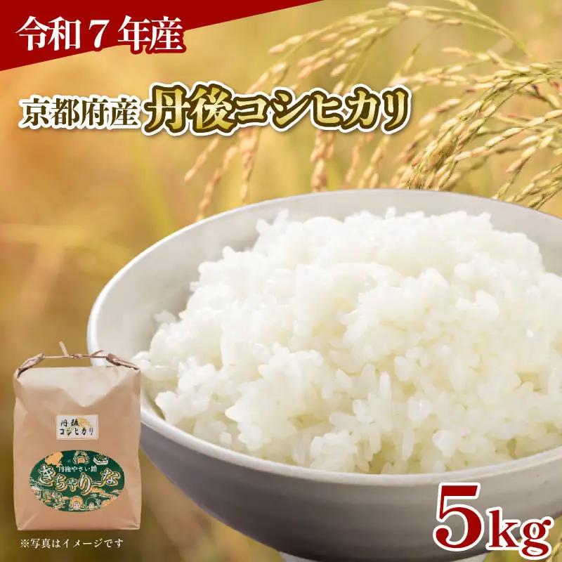 【令和7年産】丹後コシヒカリ 5kg×1袋（計5kg）精米