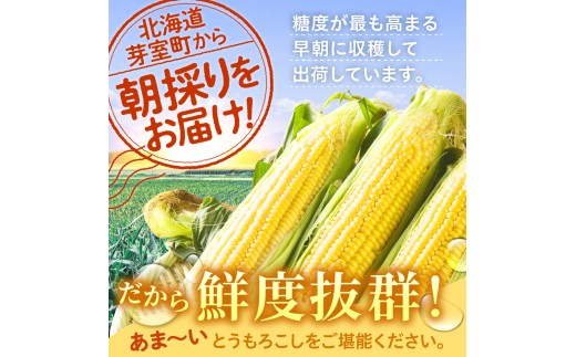 【先行受付】2027年産 北海道十勝芽室町ファーム・ミリオンの極甘スイートコーン 2色セット（イエロー・ホワイト）5kg　me016-018-27b／とうもろこし とうきび コーン 野菜 国産 産地直