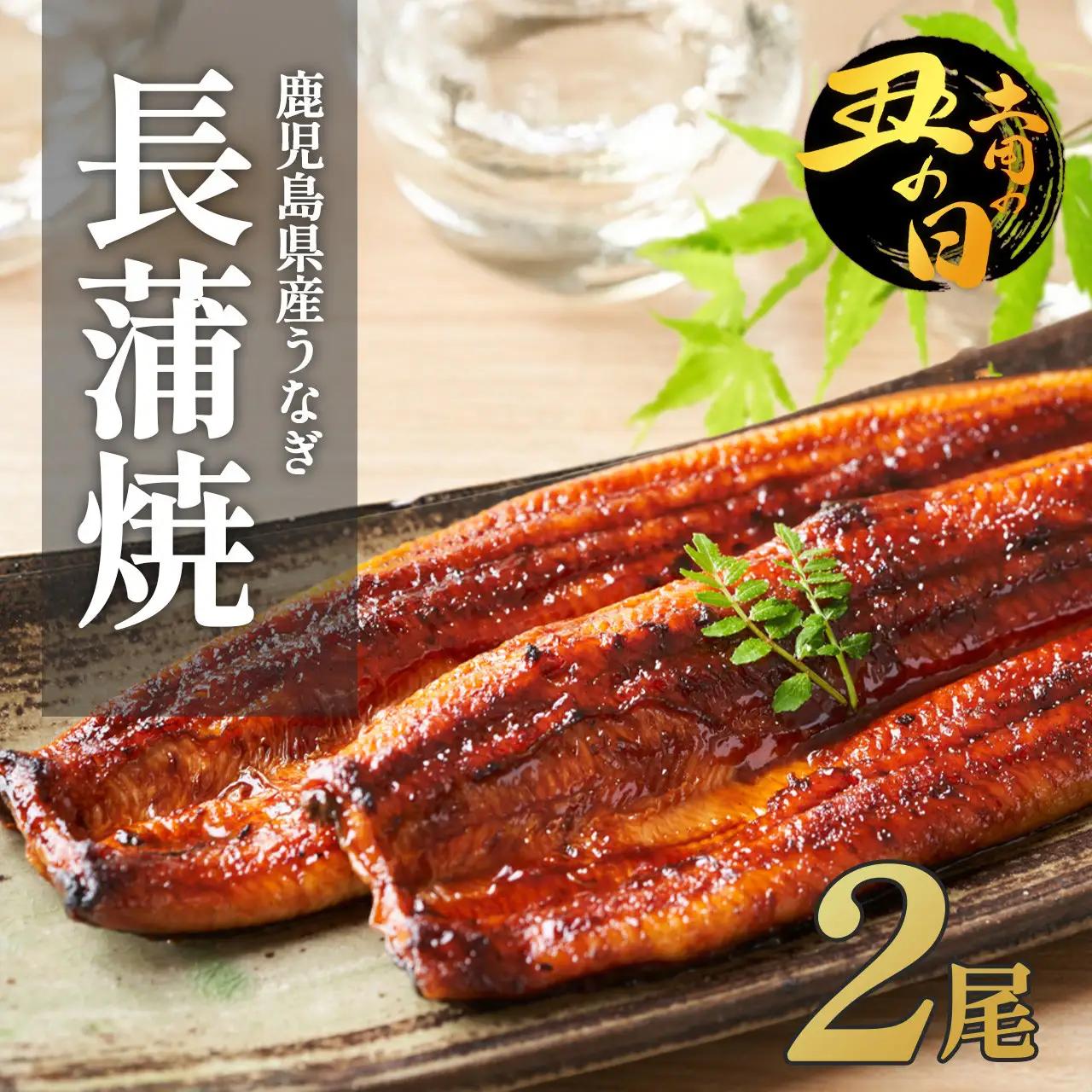 【 土用丑の日 までに届く】ふるさと納税 限定　鹿児島県 大崎町 産 国産 うなぎ 長蒲焼 2尾 計320g以上 | 土用丑の日 鰻 うな重 ひつまぶし ウナギ 蒲焼 人気 おすすめ 大隅半島 DU001