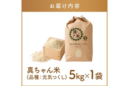 【令和6年産】農薬・化学肥料不使用 真ちゃん米 5kg【B6-024】米 お米 白米 精米 新米 5キロ 国産 おにぎり 福岡 飯塚 福岡県 飯塚市