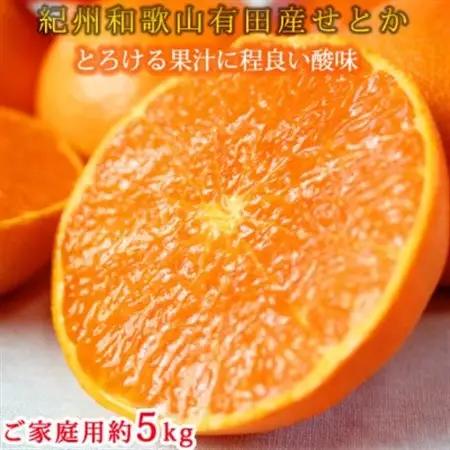 【2027年2月中旬頃より発送】ご家庭用訳あり　紀州和歌山産　せとか　約5kg【1292213】