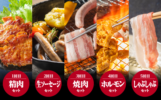 まる姫ポーク　おすすめセット　定期便【5ヶ月】 精肉セット 生ソーセージセット 焼肉セット ホルモンセット しゃぶしゃぶセット