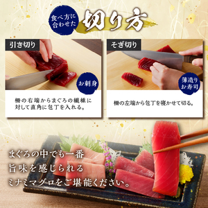 a20-427　天然南鮪　中トロ・赤身　刺身二種盛り