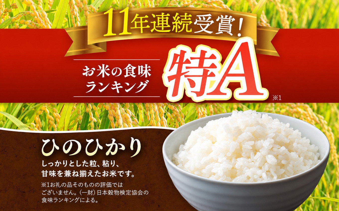 
                  【 定期便12回 】熊本県産 白米 ひのひかり 選べる 内容量 5kg ～ 30kg | お米 米 こめ おこめ 精米 白米 ヒノヒカリ ご飯 国産 国産米 定期 くまもと 熊本 熊本県 玉名市 玉名
                