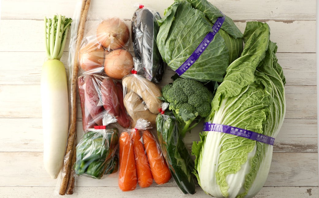 生産者応援 採れたて新鮮 旬のお野菜 詰め合わせセット