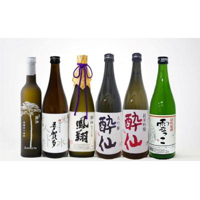 ふるさと納税 陸前高田市 先行受付 酔仙酒造 超特選 日本酒 6種飲み比べセット 〜冬ver〜