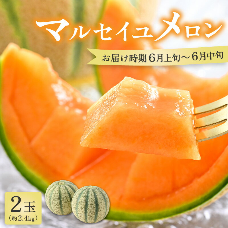 【ふるさと納税】【先行予約】マルセイユメロン 2玉 約2.4kg（約1.2kg以上×2玉）大人気の赤肉品種！高級メロンの味わい ／ 果物 フルーツ ギフト 農家直送 ※2026年6月上旬以降順次発送