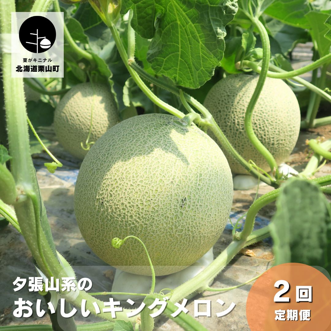 【ふるさと納税】夕張山系のおいしいメロン（1玉×2回定期便）