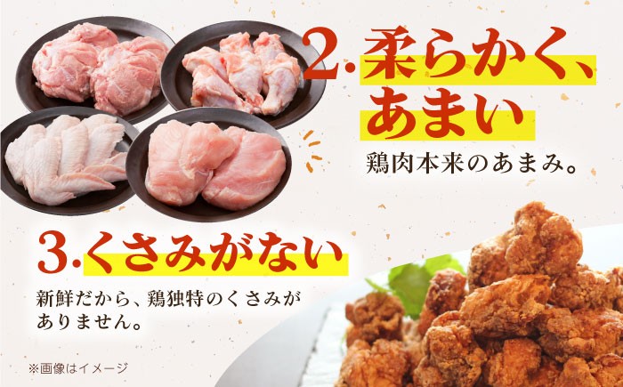 【朝引き】ありたどり よりどりセット B（ムネ・モモ・手羽先・手羽元） 【肉の三栄】 [HAA124]