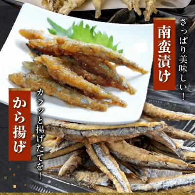 ふるさと納税 南九州市 鹿児島県産キビナゴ1kg |  | 01