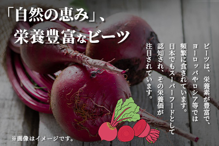 自社農園栽培 ビーツ 水煮 1.2kg(200g×6袋) 熊本県 産 国産 スーパーフード 高栄養 びーつ レトルト 野菜 根菜 美容 健康 115-0616