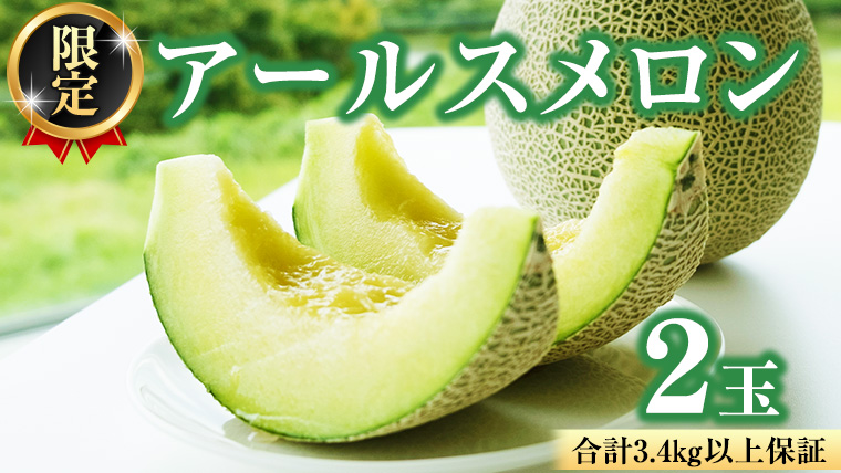 【2025年8月下旬発送開始】 季節 限定 ！甘さ満点 アールスメロン 2玉 入箱 果物 フルーツ 農家直送 産直 青肉メロン 特産品 マスクメロン メロン くだもの 茨城 [BC045sa]