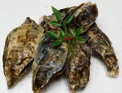 多度津町産 白方かき 電子レンジでお手軽調理　殻付きかき(加熱用)　500g×4袋【令和9年1月頃から4月頃までの期間限定出荷】【A-90】