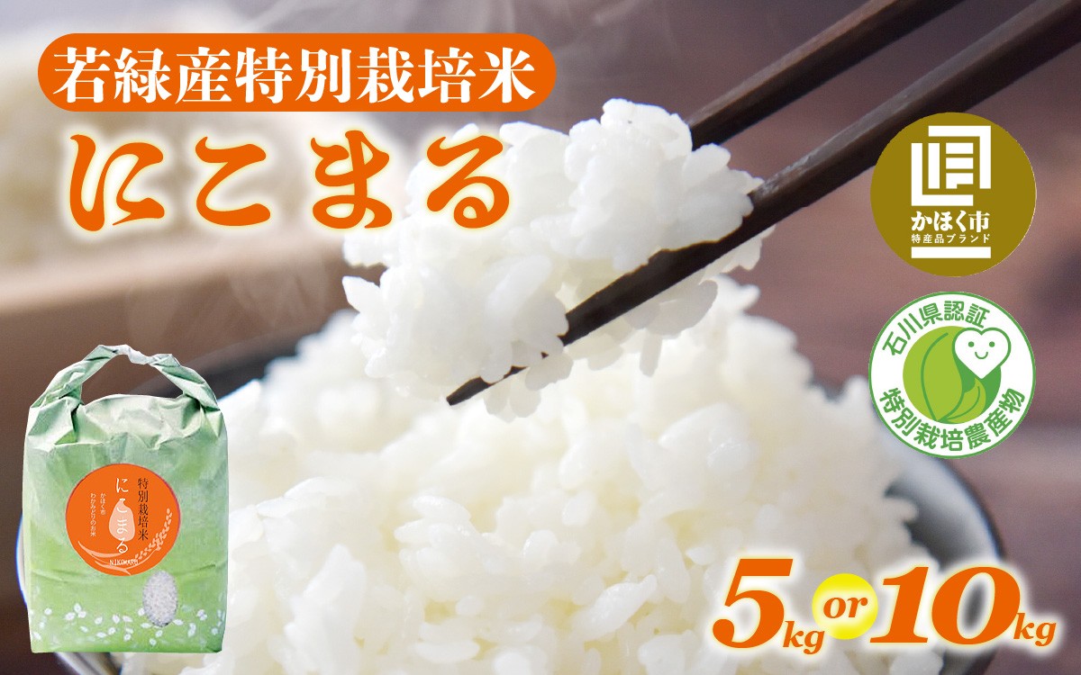 
                  【選べる容量】【令和7年産】「にこまる」5kg ～ 10kg 若緑産 特別栽培米 / 令和7年産 米 単一原料米 ニコマル 国産 こめ コメ 食品 常温 ご飯 お取り寄せ 5キロ 10キロ
                