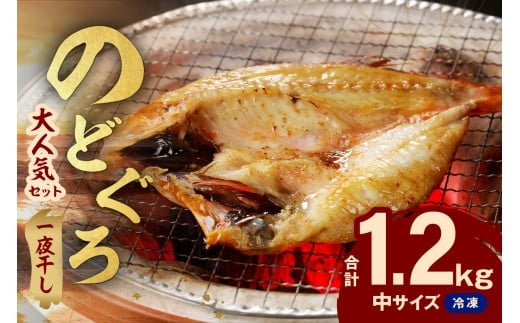 シーライフのどぐろ一夜干し9～10枚で計1.2kg 「大人気セット」 アカムツ 干物 一夜干し 手頃 小分け 個包装 贈答 ギフト プレゼント 贈り物 【005_2066】