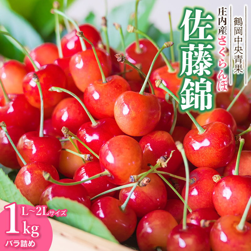 【ふるさと納税】令和7年産 さくらんぼ 佐藤錦 バラ詰め1kg　L～2Lサイズ