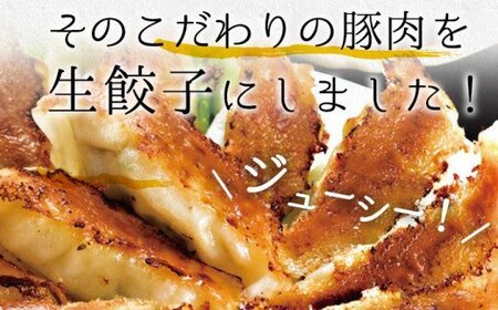 鹿児島県産 黒豚 餃子 144個 冷凍【00-008-14-60】