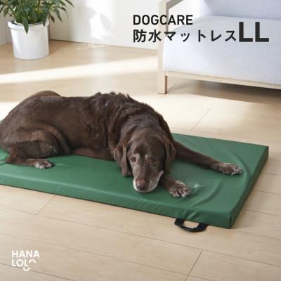 ふるさと納税 岡崎市 ドッグケア　床ずれ予防マットレス　LL